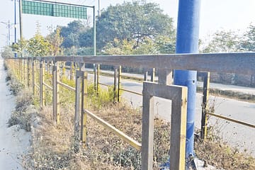 রাজশাহীতে সড়ক বিভাজকের লোহার রড চুরি হচ্ছে