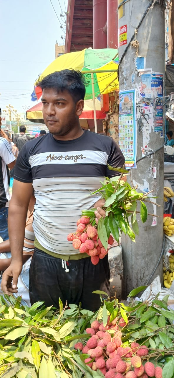 রাজশাহীর বাজারে এসেছে লিচু
