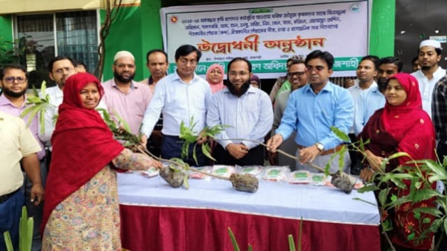রাজশাহীর পবায় বিনামূল্যে গাছের চাড়া বিতরণ